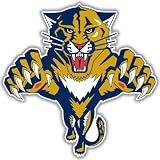 Florida Panthers NHL Hockey car bumper sticker 5 x 5