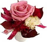 �y09��̓��z���[�� -��e-(�v���U�[�u�h)