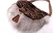 Real White - Grey Fox Girl's Messenger Satchel Side Cabas Shoulder Bag