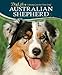 Australian Shepherd (Doglife)