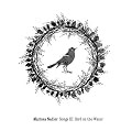 Song III: Bird on the Water