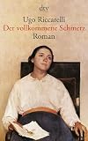 Der vollkommene Schmerz: Roman - Ugo Riccarelli