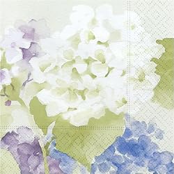 Design Design Hydrangea Mist Beverage Napkin, 20-Count Packages (Pack of 6)