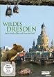 Wildes Dresden - Lachs in der Elbe und Hase im Kohl