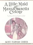 Little Maid of Massachusetts Colony (The Little Maid Series)