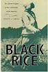 Black Rice: The African Origins of Rice Cultivation in the Americas