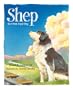 Shep: Our Most Loyal Dog (True Story)