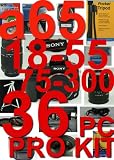 Sony A65