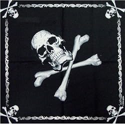 Skull And Crossbone Bandana #20
