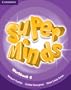 Super Minds Level 6 Workbook