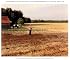 Accommodating Nature: The Photographs of Frank Gohlke (Center for American Places - Center Books on American Places)