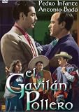 El Gavilan Pollero