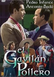 El Gavilan Pollero