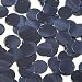 Round Flat Sequin 18mm Top Hole Royal Navy Blue Metallic. Couture Paillettes. Made in USA