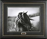 IMAGE OF Fierce Grace Tony Stromberg 35x29 Gallery Quality Framed Print Western Horse Picture PRIME Ship