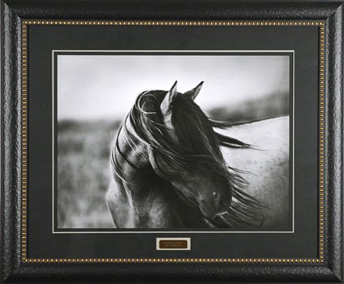 Fierce Grace Tony Stromberg 35x29 Gallery Quality Framed Print Western Horse Picture PRIME Ship