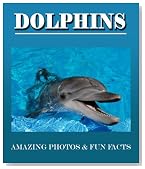 DOLPHINS: Amazing Photos & Fun Facts (Over 50+ Pictures of Dolphins)