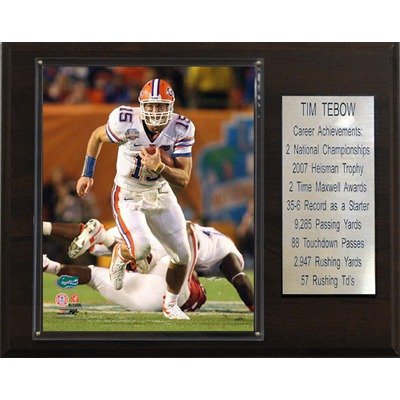 NCAA Football Florida Gators Career Stat Plaque