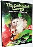 The enchanted canopy : secrets from the rainforest roof