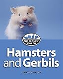 Hamsters and gerbils