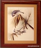 Blue Jay Audubon Print Framed & Matted 17x16