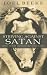 Striving Against Satan by Joel Beeke ISBN 1850492190