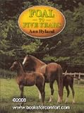Foal to Five Years