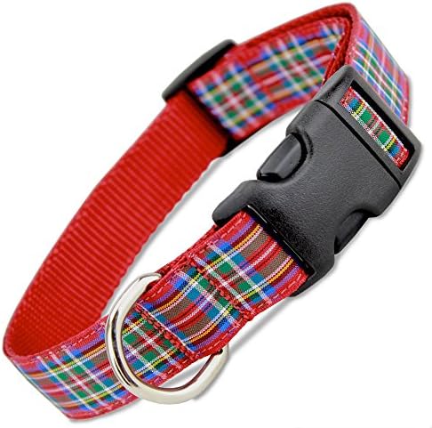Scottish Plaid Dog Collar, Royal Stewart Tartan, X-Small Dogs 5-13 lbs (Collar: 5/8" Wide 6.5" - 10" Long)