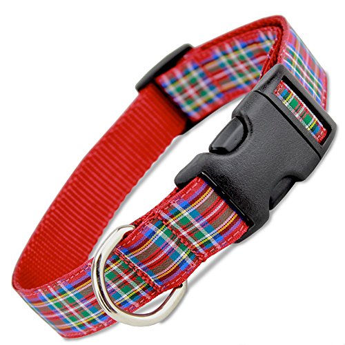 Scottish Plaid Dog Collar, Royal Stewart Tartan, Small, 5/8