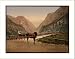 Norwegian carriage Hardanger Fjord Norway, c. 1890s, (M) Library Image