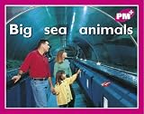 PM Plus: Big Sea Animals
