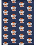 Milliken 538791-1113 Collegiate II Illinois Fighting Illini Rug