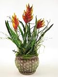 from GT Decorations 33cm Potted Artificial Heliconia Rostrata Flower Plant from GT Decorations