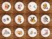 SET (12) BABY POOH WINNIE THE POOH BABIES DRESSER DRAWER PULLS KNOBS