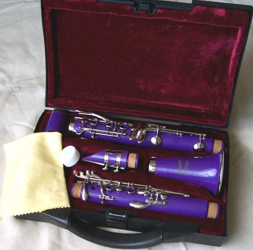 Purple Boucet B-flat Clarinet with Hard Case
