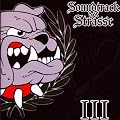 Soundtrack der Stra�e Vol.3