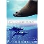 NHKDVD ������~An Aquarium~ �啪�}���[���p���X�����فu���݂��܂��v