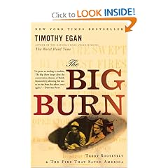The Big Burn: Teddy Roosevelt and the Fire that Saved America by Timothy Egan