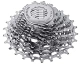 SRAM Rival OG 1070 10-Speed OpenGlide Road Bicycle Cassette