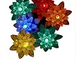 Set of 25 LED Multi-Colored Flower Petal Reflector Christmas Lights - Green Wire