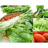 安全で栄養価の高い「完全無農薬野菜」