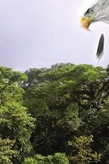 Cuauhtémoc: Descending Eagle