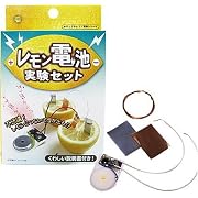 [電気の利用]ハンディＥＣＯライト（モーターカー部品付）発電・蓄電実験も出来る実験豊富なキット