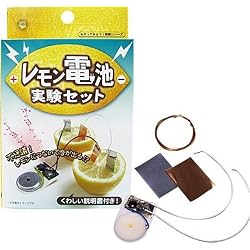レモン電池実験セット