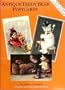 Antique Teddy Bear Postcards, Vol. II