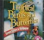 Tropical Birds & Butterflies Screen Savers & Wallpaper