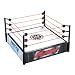 WWE - Spring' Ring