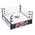 WWE - Spring' Ring