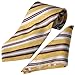 Boston Traveler Mens Swirl and Striped Pattern Tie Hanky Set