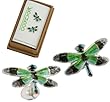 Sterling Silver Cloisonne Enamel Radiant Gossamerwing Dragonfly Stud Earrings in Bamboo Gift Box